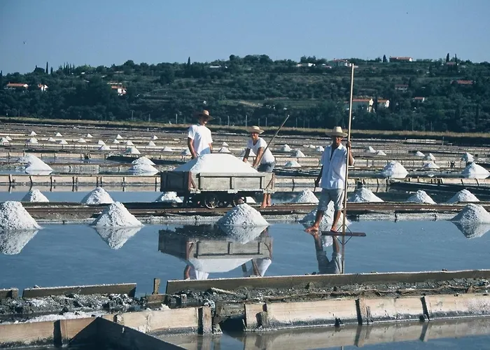 Mani Apartment Koper